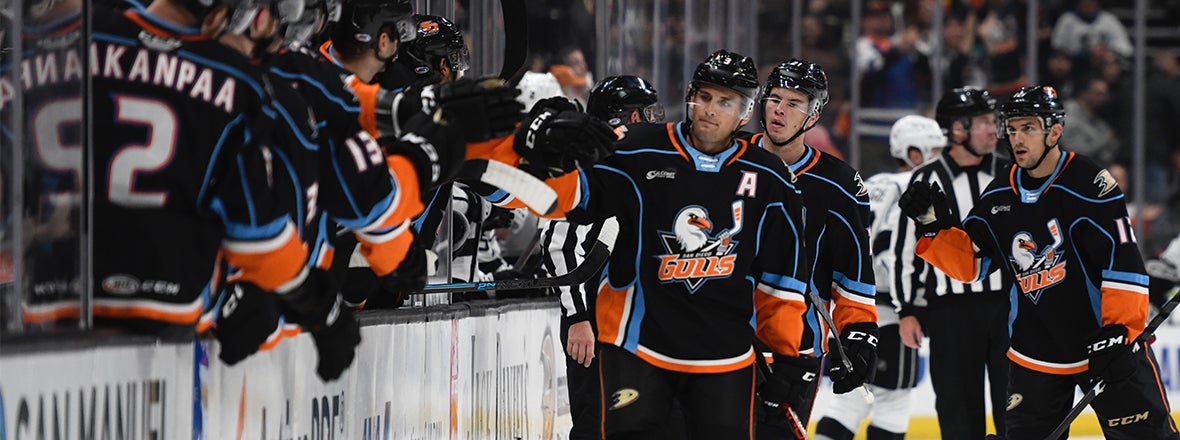 nhl gulls