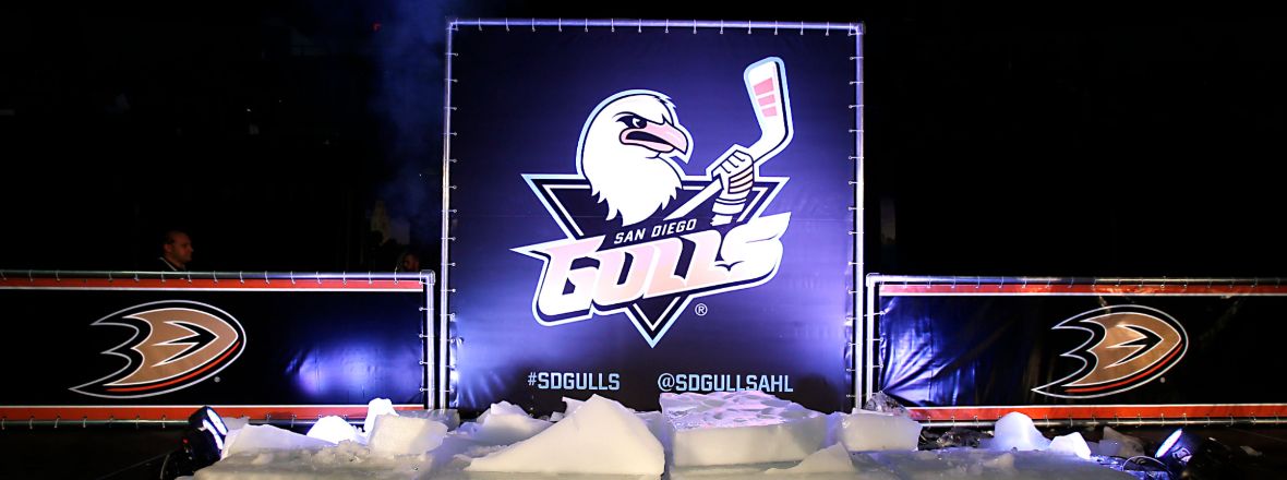 HD san diego gulls logo wallpapers