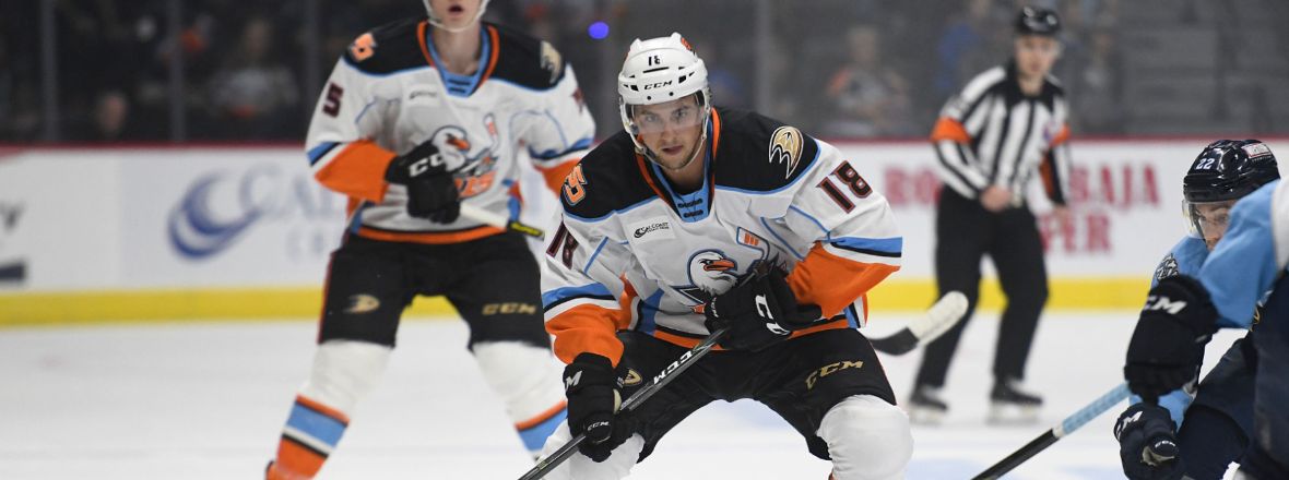 Gulls Recall Sideroff from Tulsa