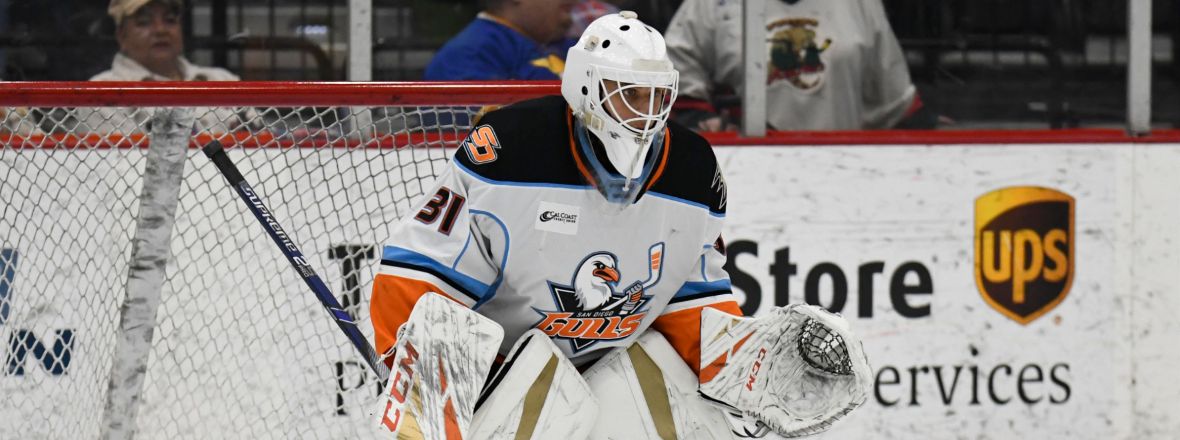 Gulls Reassign Eriksson Ek to Tulsa