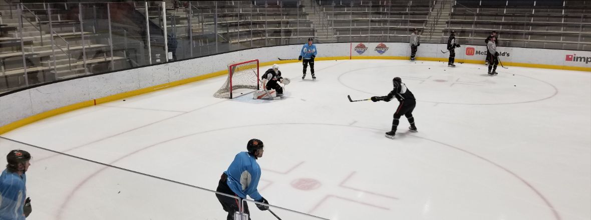 Gulls Camp: Goaltending Strength