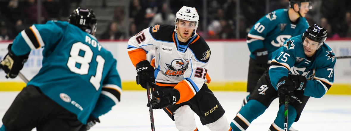 Gulls Recall Kopacka from Tulsa