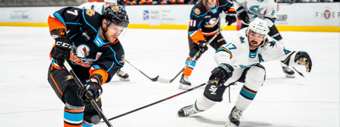 Gulls Split Preseason Series With San Jose