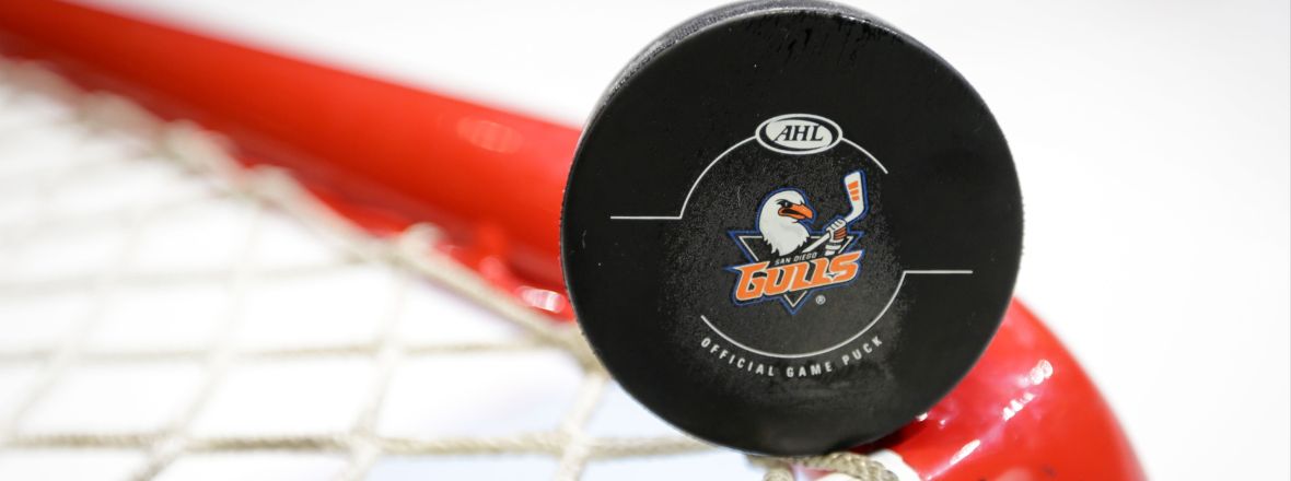 Gulls Postpone Sunday's Preseason Game