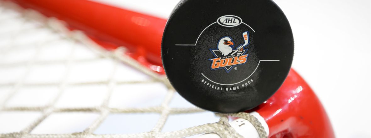 Gulls Announce New Gulls Elite Membership Program