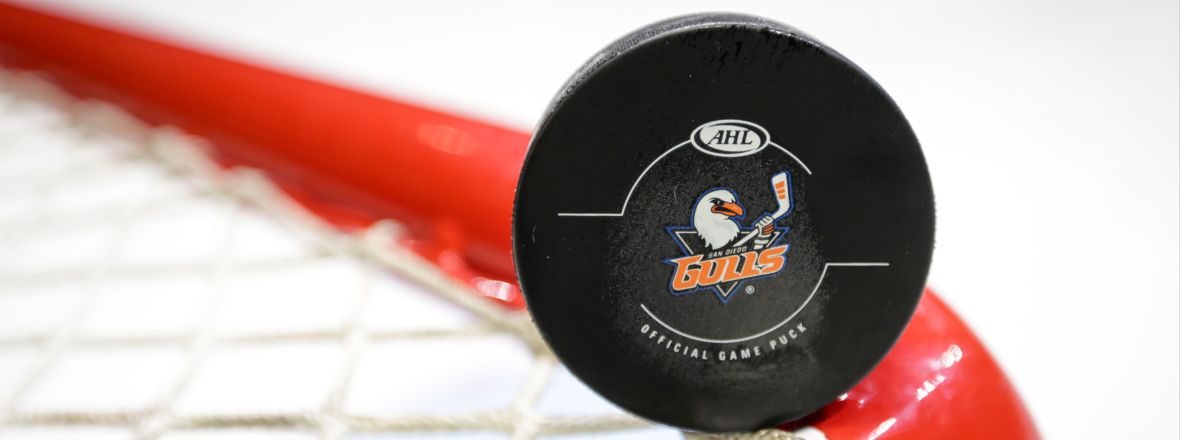 Gulls Announce Roster Moves