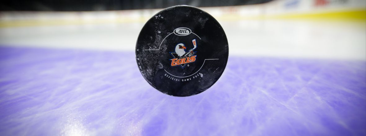 Gulls Announce Updated Preseason Schedule