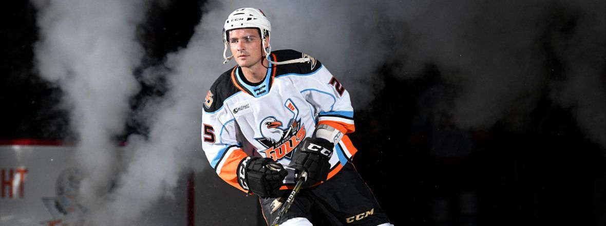 san diego gulls ahl jersey