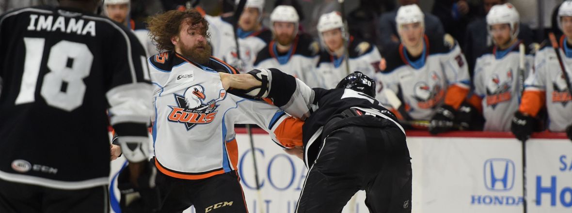 Gulls and Reign Underway!