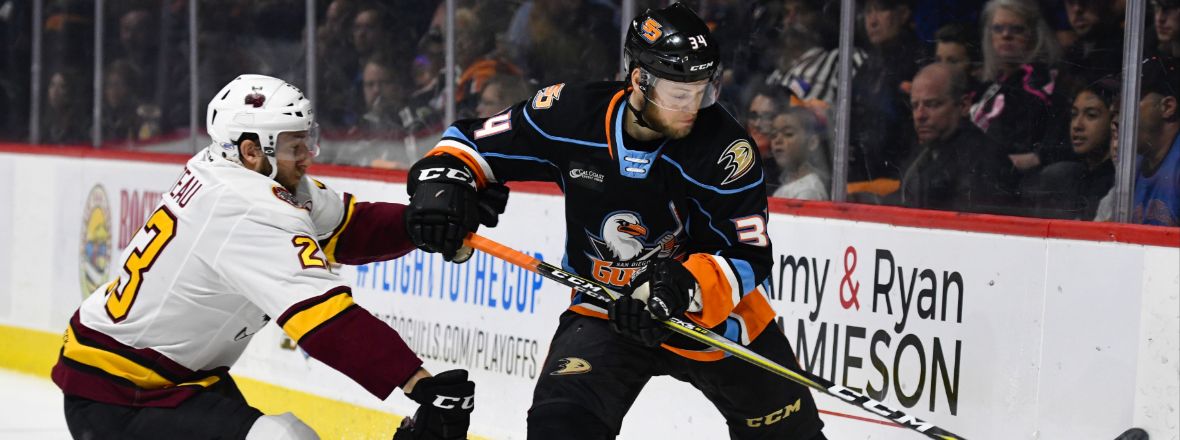 Ducks Assign Larsson to San Diego