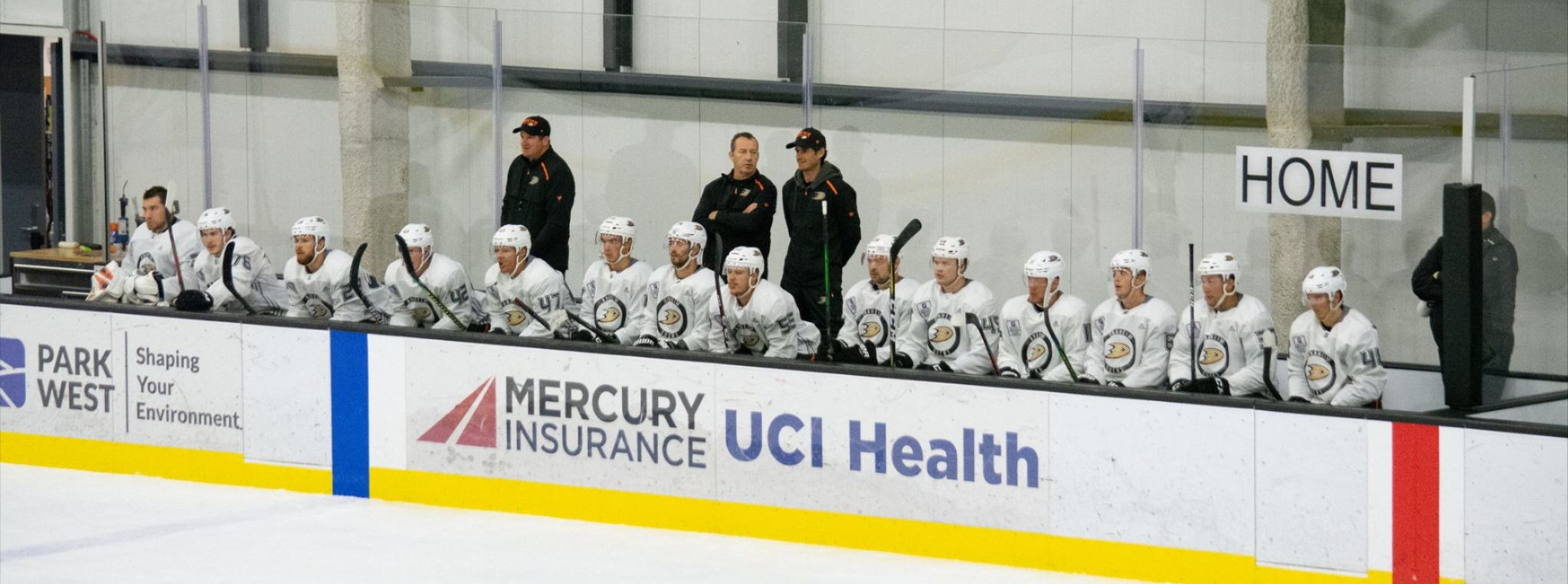 Gulls Camp: Introduction of Day One