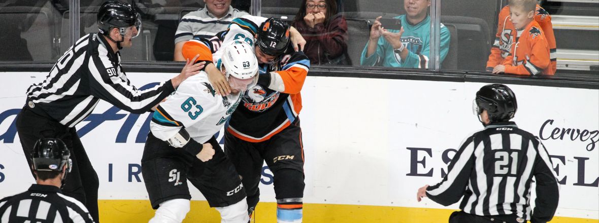 Gulls Fall to Barracuda 5-1