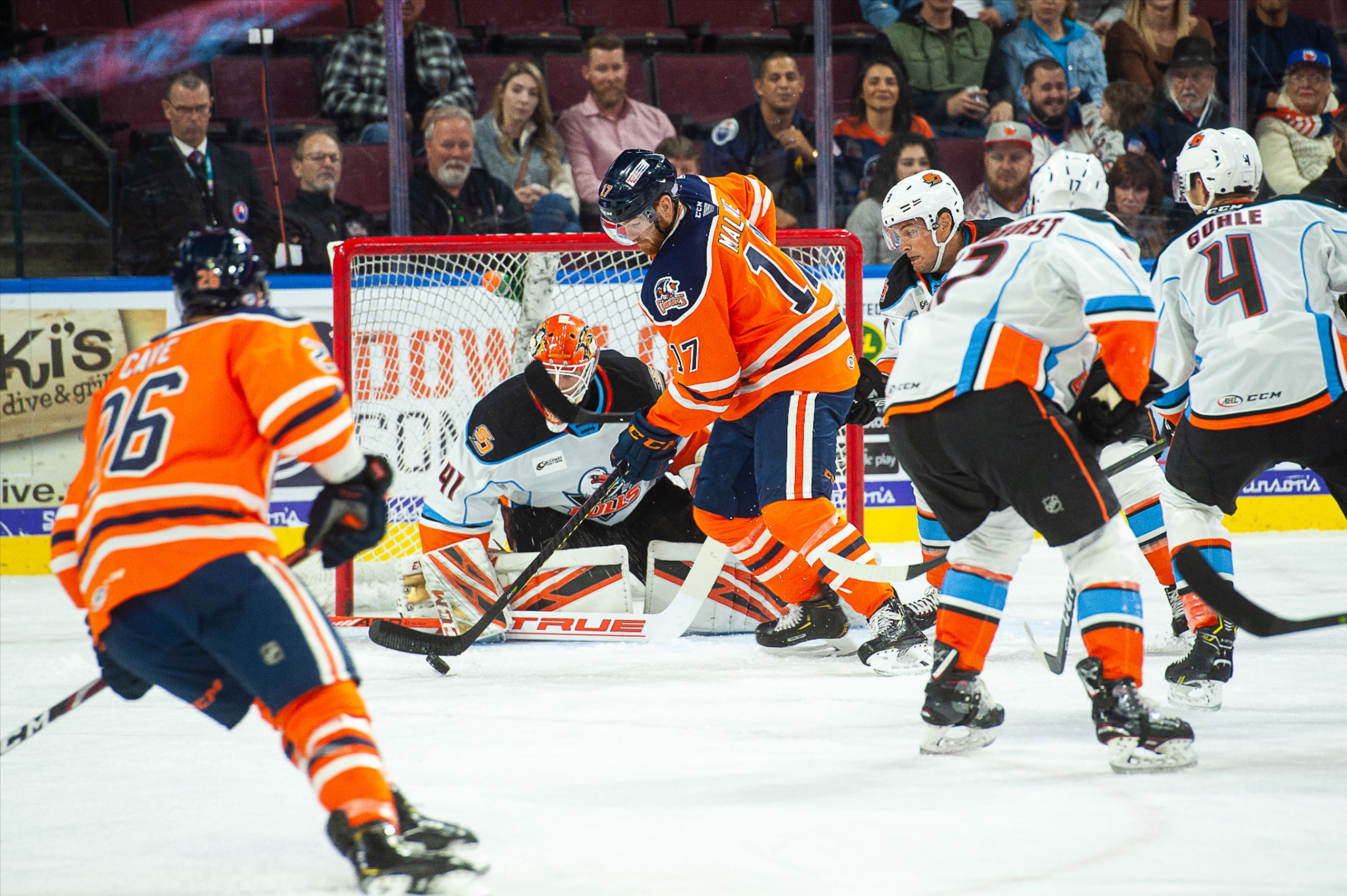 Gulls Aim to Push Win Streak to Five San Diego Gulls