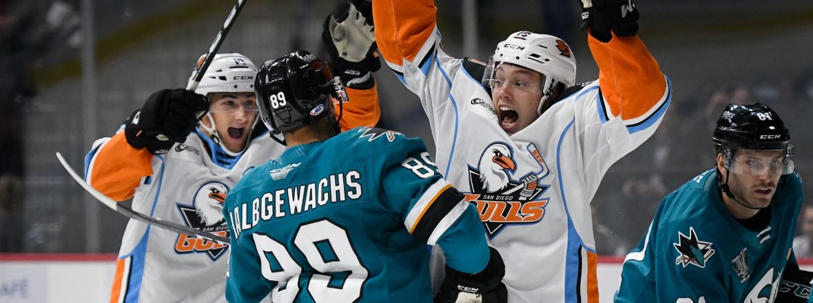 San Diego Gulls –