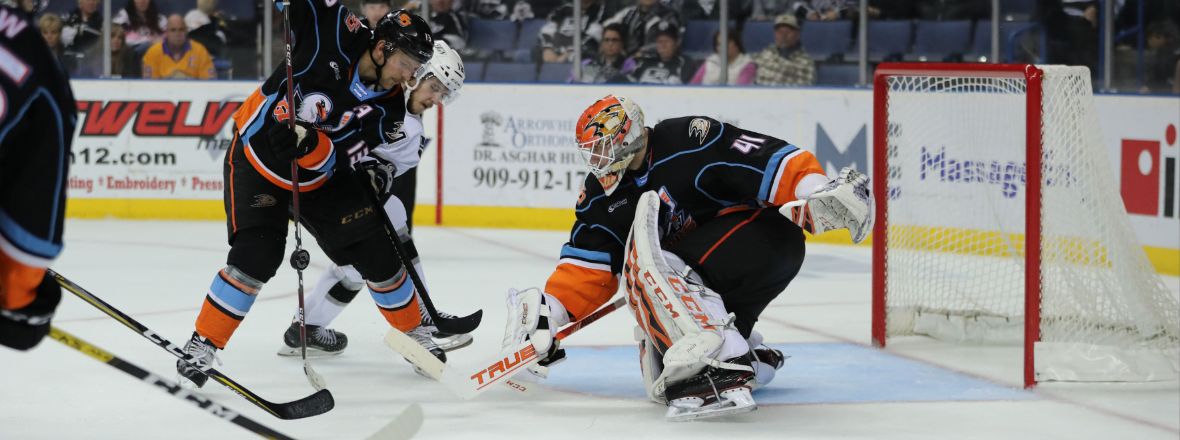 Gulls and Reign Underway