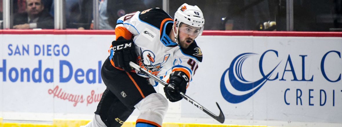 Gulls Reassign Ruggiero to Tulsa