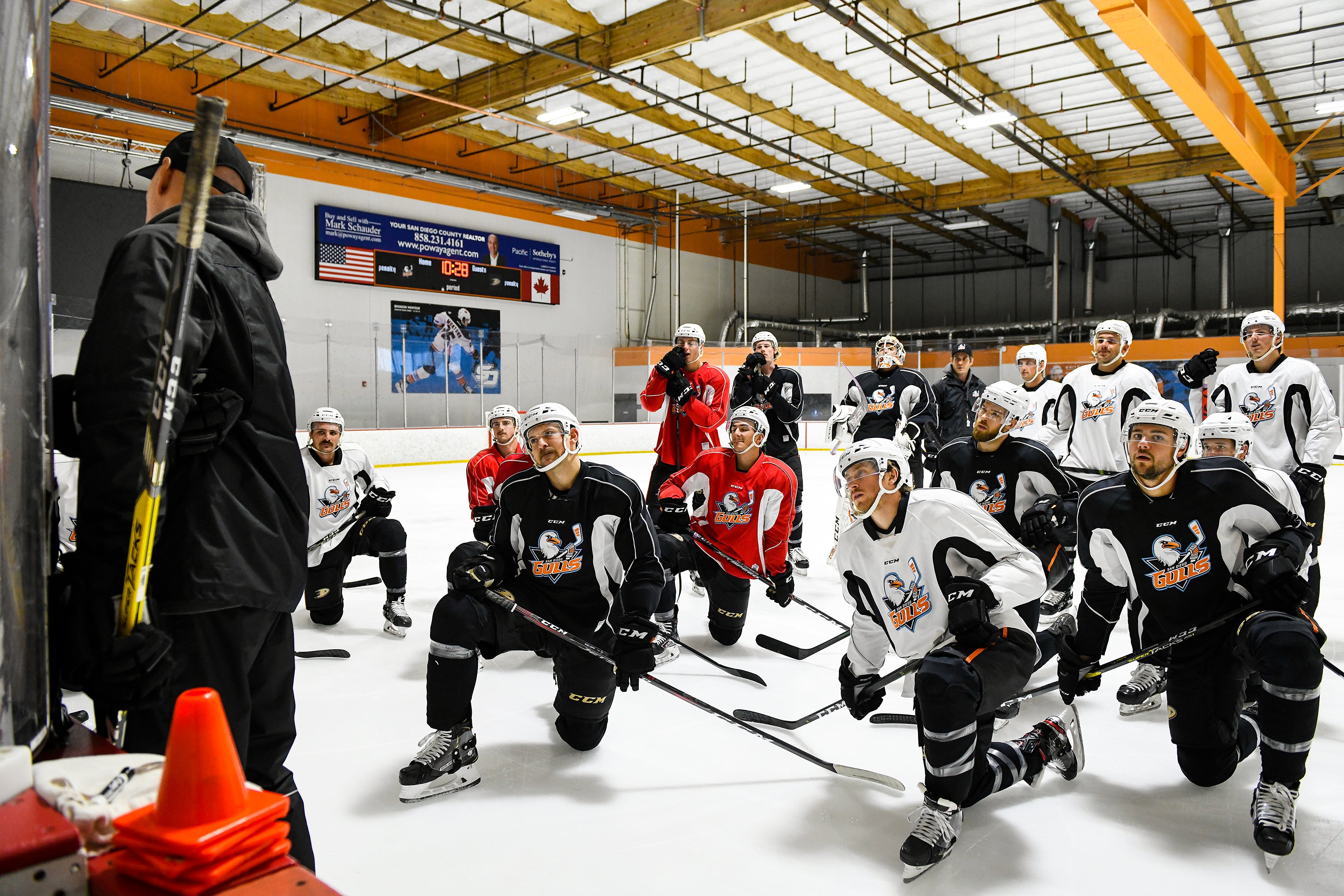 San Diego Gulls Hockey Club Home