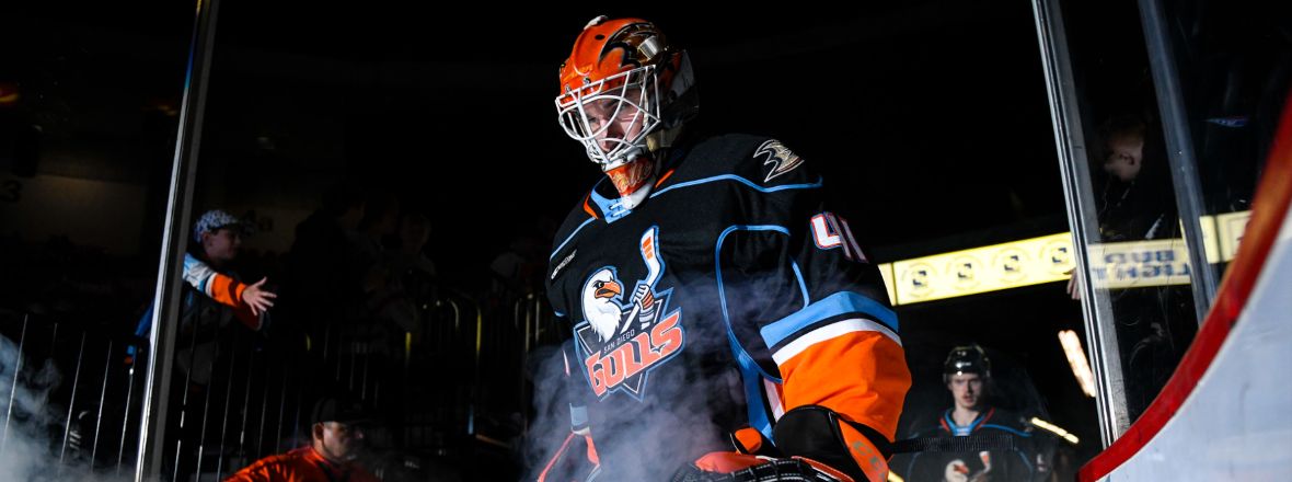 Gulls Take Flight to Colorado