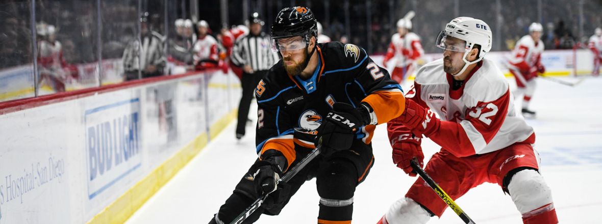 Gulls Earn Point in Shootout Loss