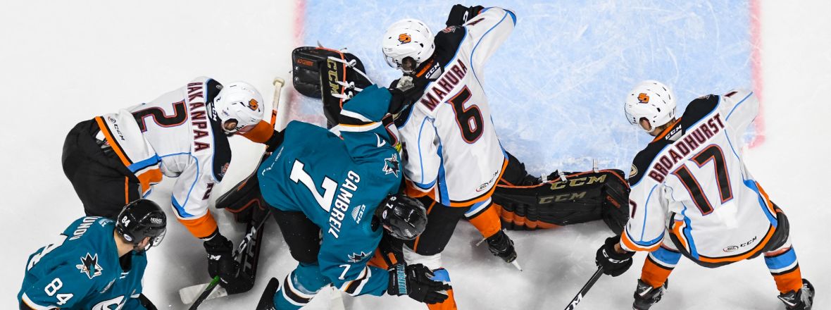 Barracuda Stun Gulls With Third Period Comeback