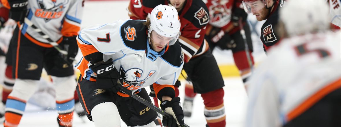 LIVE: Gulls and Roadrunners Underway!