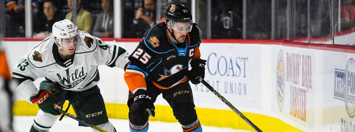 LIVE: Gulls, Wild Tied 2-2 After Second Period