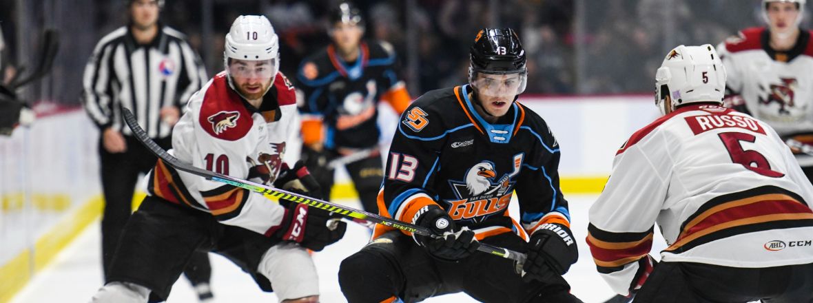 LIVE: Gulls Trail Tucson 2-0 In Second Period