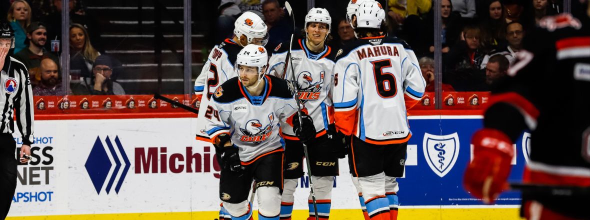 Gulls Take Flight in Grand Rapids