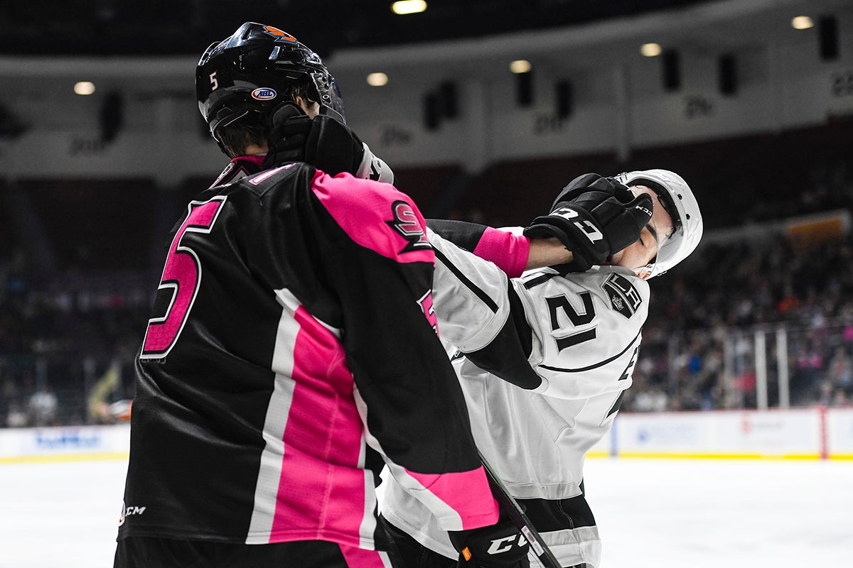 San Diego Gulls 2019-20 Season In Review