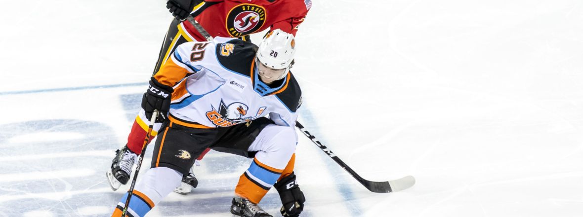 Gulls Grab Point in Overtime Loss