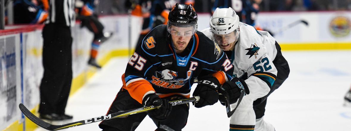 Gulls, Barracuda Open Preseason Series