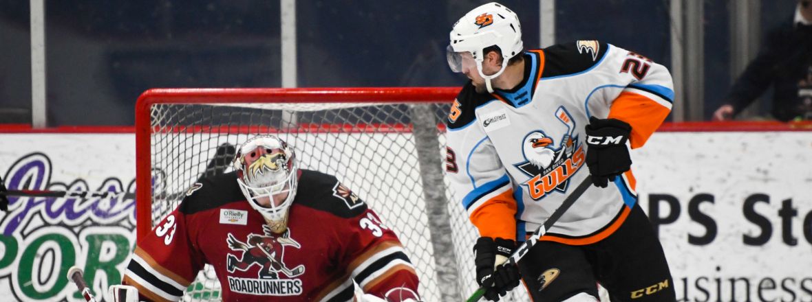 LIVE: Gulls Lead Roadrunners 3-2