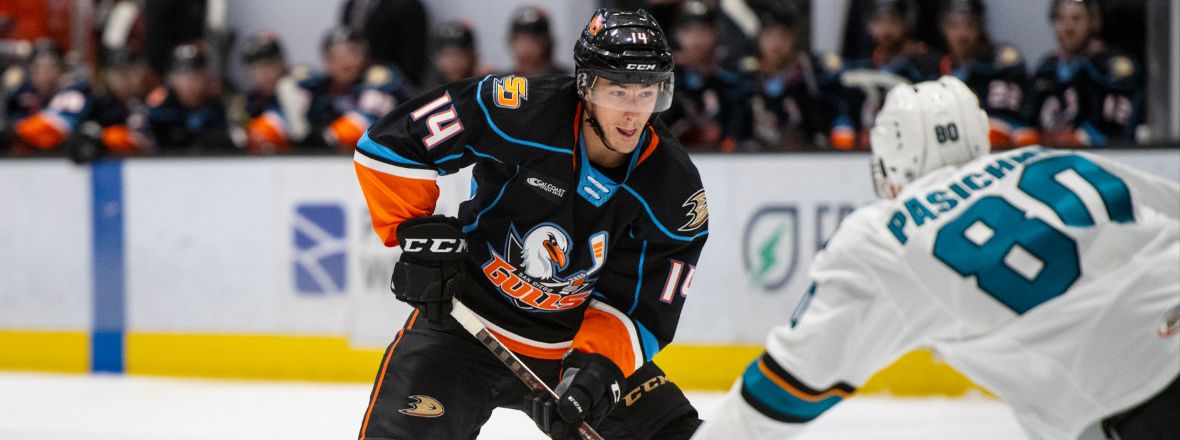 PREVIEW: Gulls, Barracuda Close Season Series Tonight At SAP