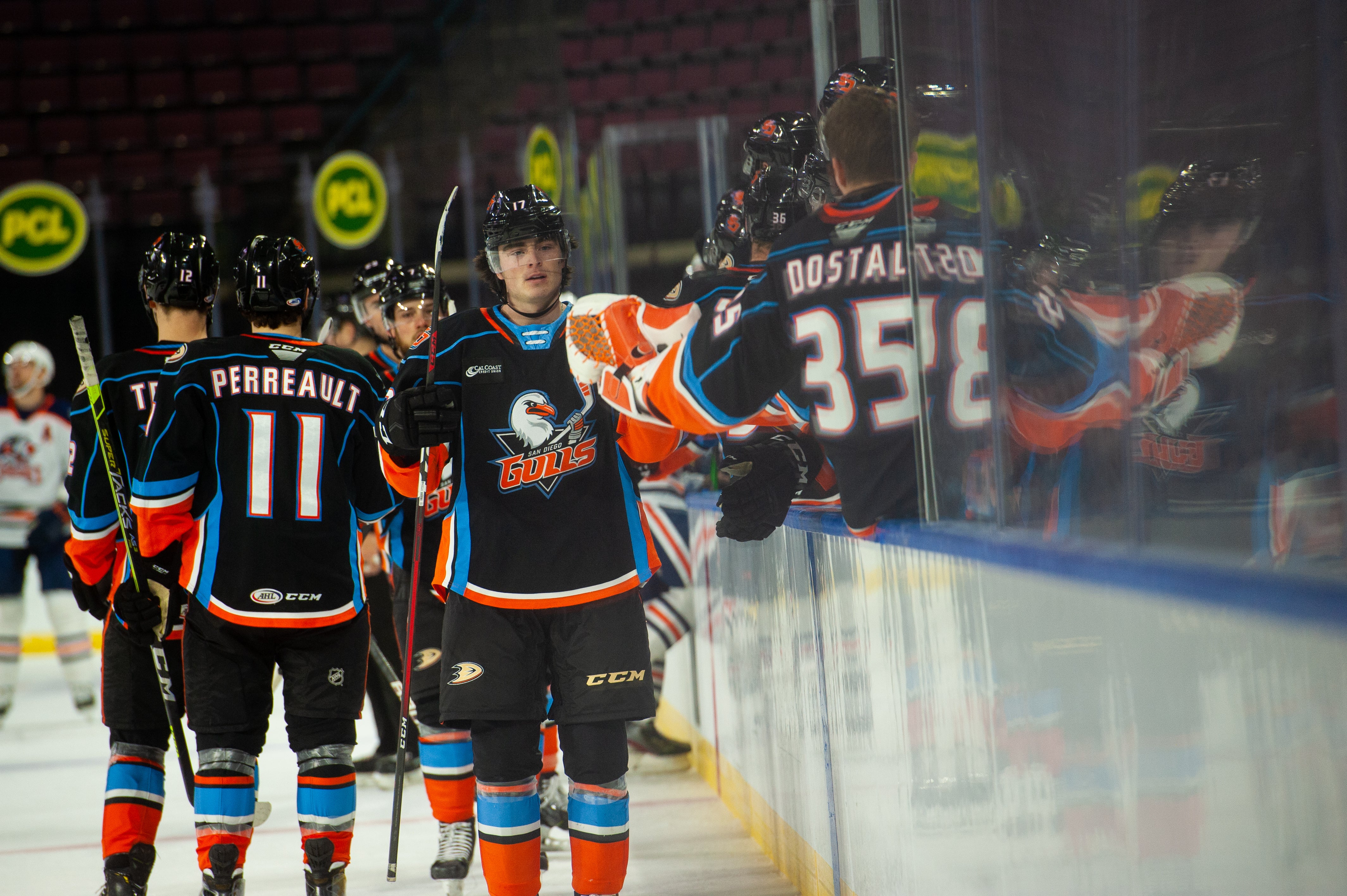 213 San Diego Gulls Photos & High Res Pictures - Getty Images