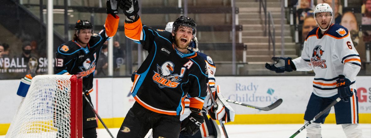 Ducks Recall De Leo