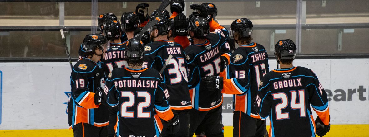 Featured image of post The Best 30 Gulls Hockey Team