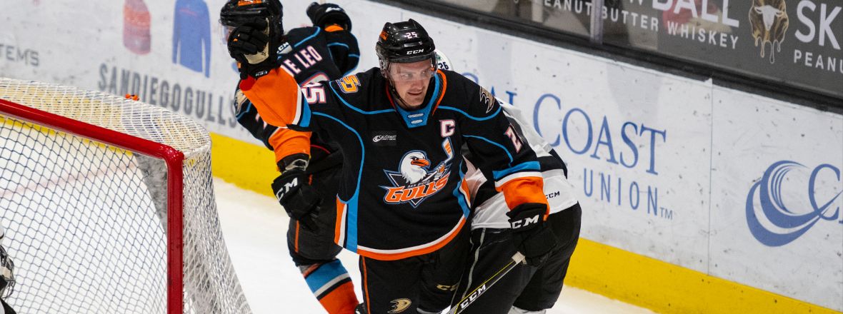 Ducks Reassign Carrick To Gulls