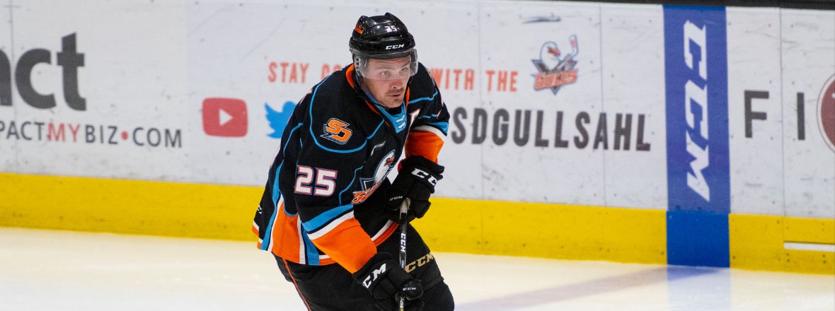 Ducks Recall Carrick From Gulls