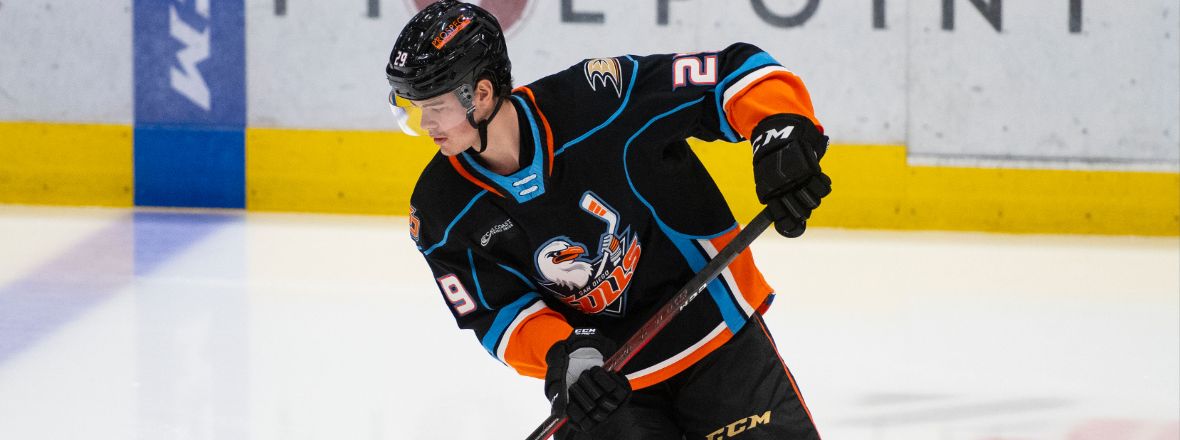 Ducks Assign Axel Andersson To Gulls