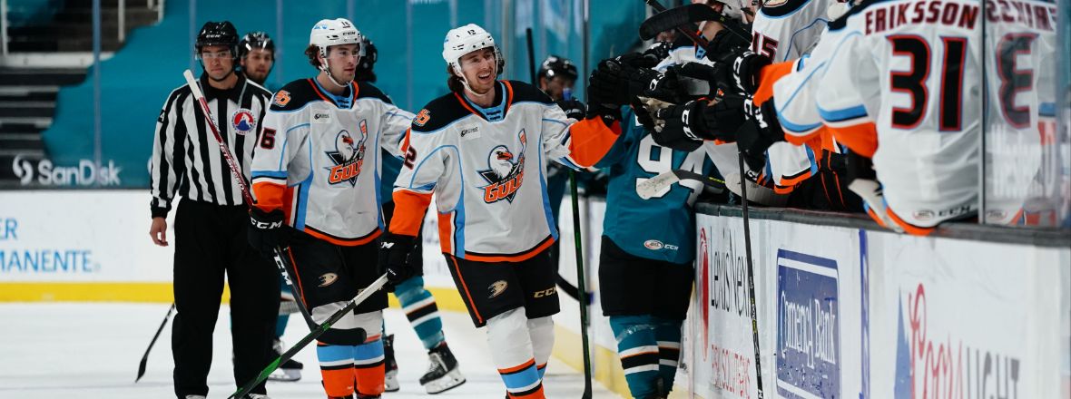 Limoges, Gulls Dominate Barracuda