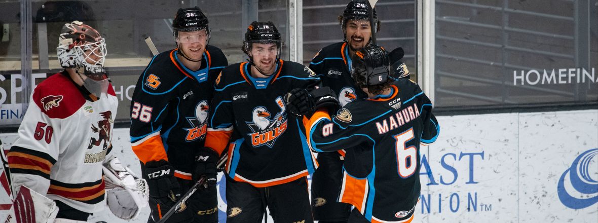 Rookie Trio Powers Gulls 