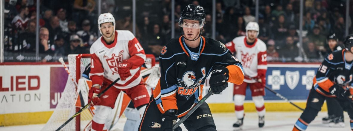 Gulls hockey in San Diego – Call Me Mochelle