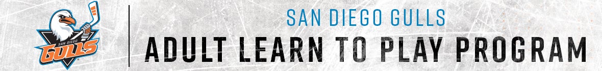 Adult LTP Web Banner.jpg