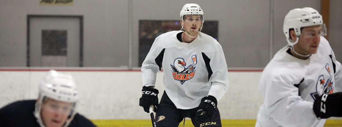 Gulls Settle In, Look To Establish Identity