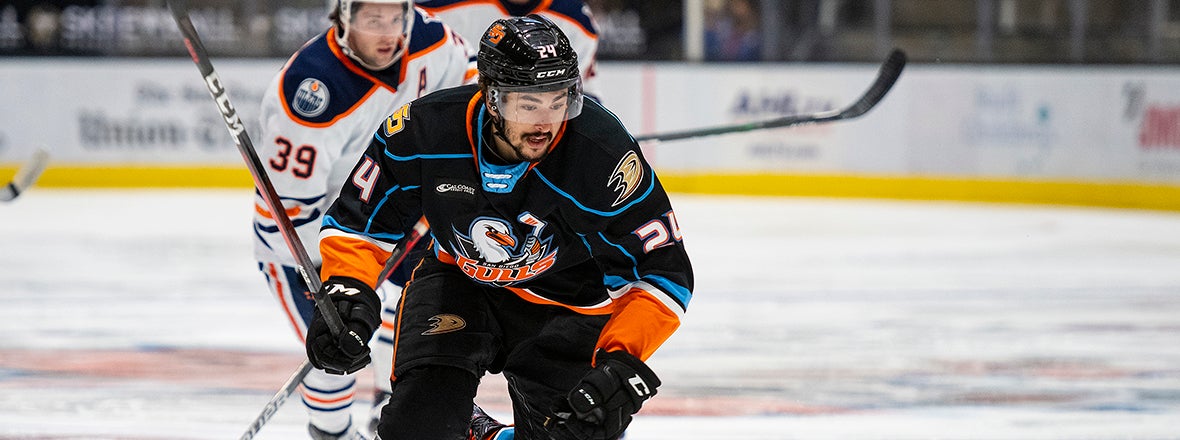 Ducks Reassign Groulx