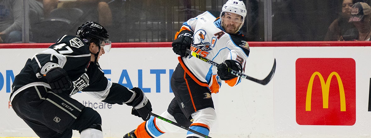 Gulls Sign Four Players