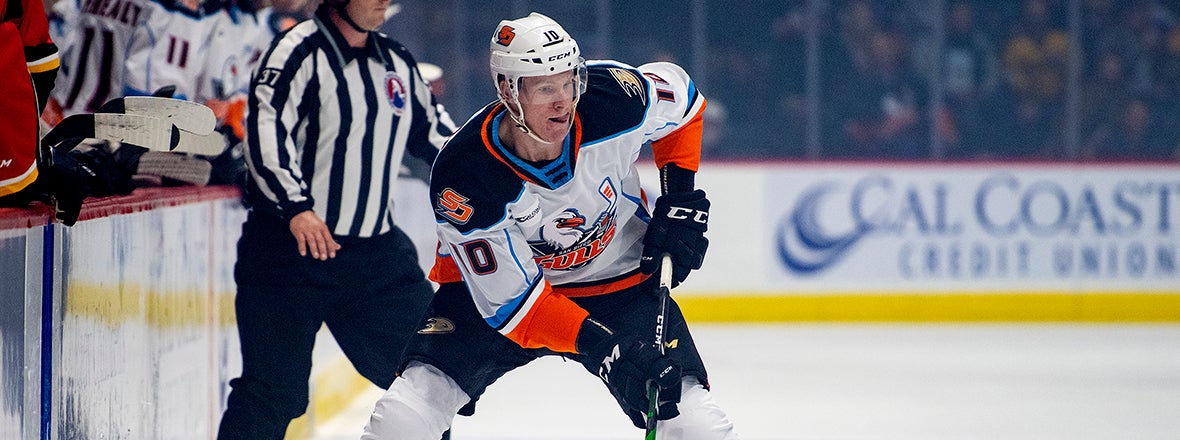 Ducks Recall Robinson From Gulls