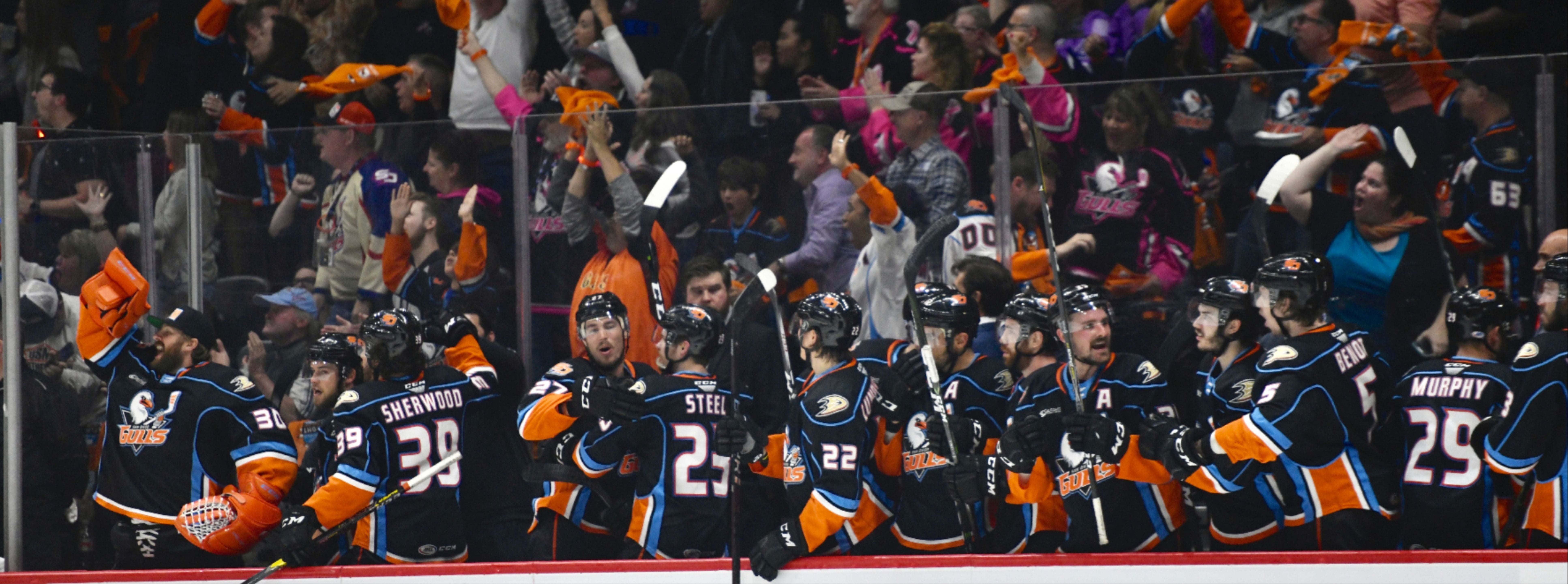 Gulls Release 2019 Training Camp Roster