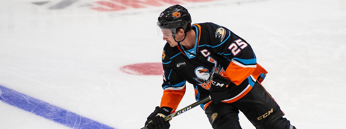 Ducks Recall Carrick From Gulls