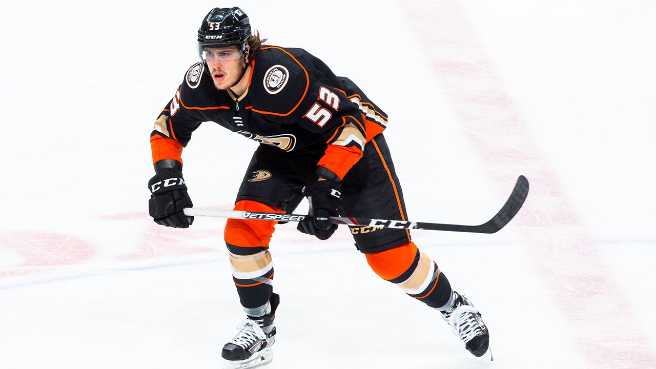 16 Facts About Anaheim Ducks 